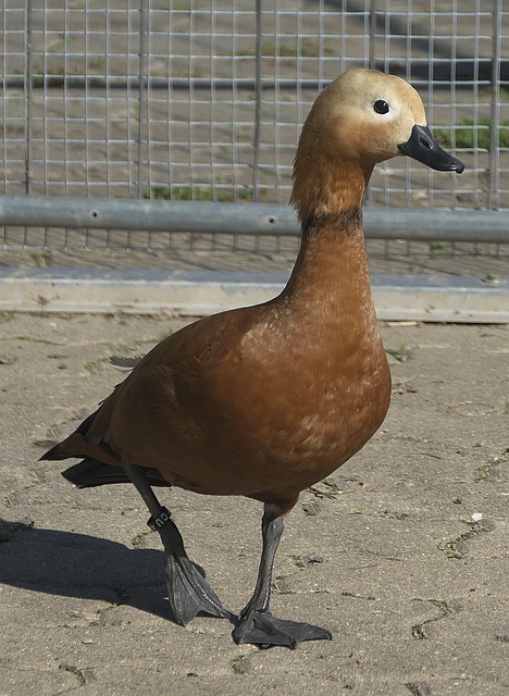 以更好滿足