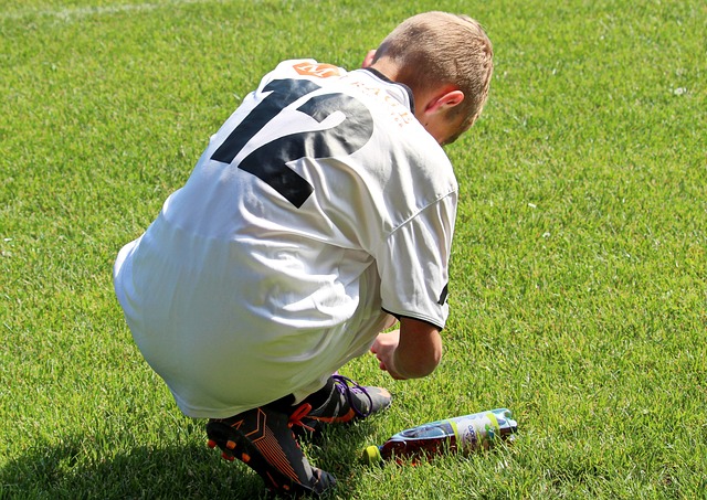 球的目光将 球的目光将