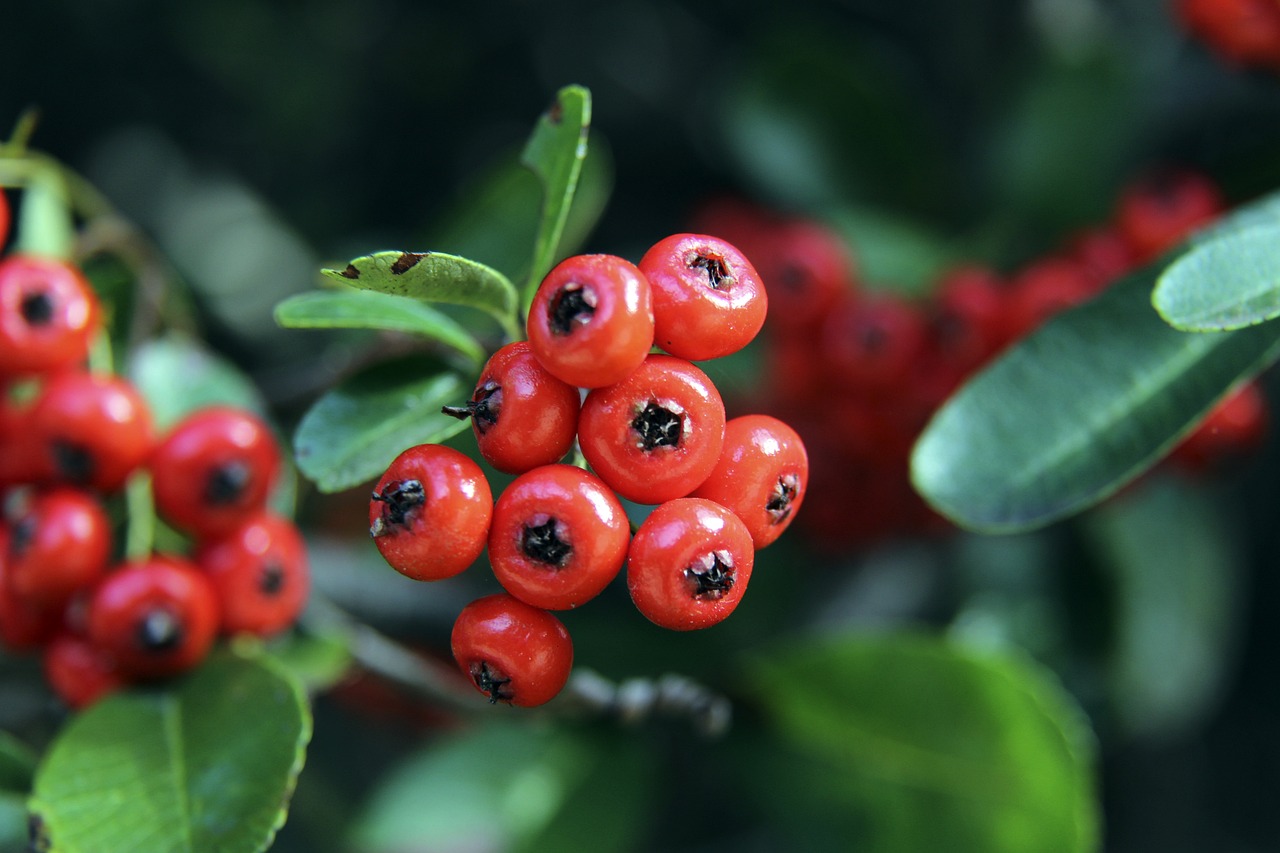 态势进行调 态势进行调