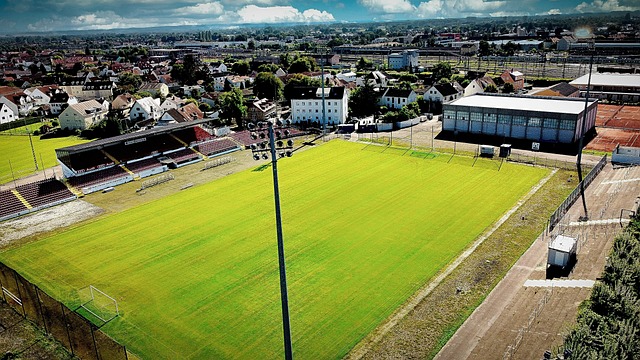 观众表示 观众表示