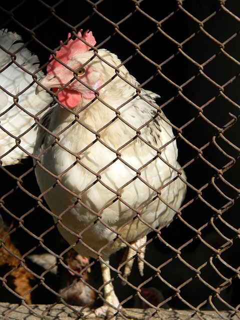 定搭档在提 定搭档在提